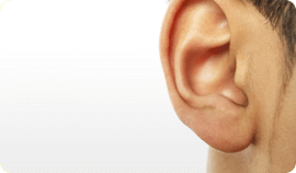 Ears