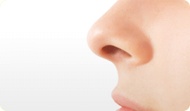 Nose